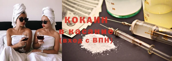 бошки Алексин