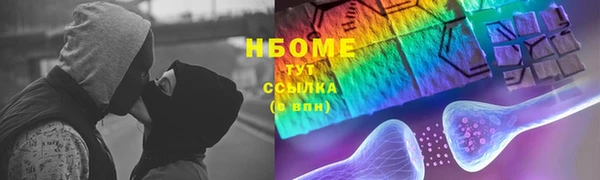 бошки Алексин