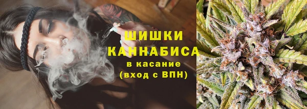 бошки Алексин