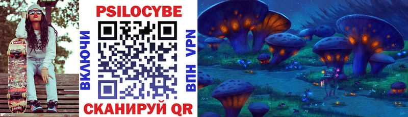 Псилоцибиновые грибы Psilocybine cubensis Иннополис